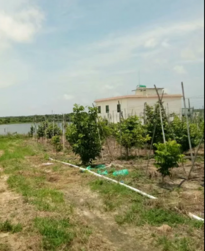 QQ截图20190712212645.png