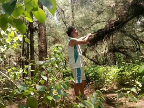 psb (12).jpg psb (12).jpg