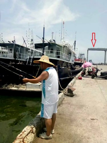 psb (2).jpg psb (2).jpg