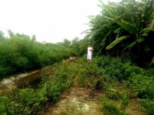 psb (24).jpg psb (24).jpg