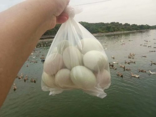 psb (30).jpg psb (30).jpg