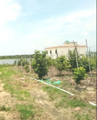 psb (1).jpg psb (1).jpg