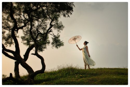 DSC_0150-01.jpeg DSC_0150-01.jpeg