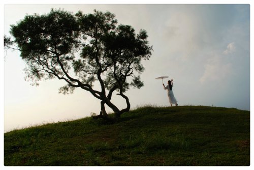 DSC_0161-01.jpeg DSC_0161-01.jpeg