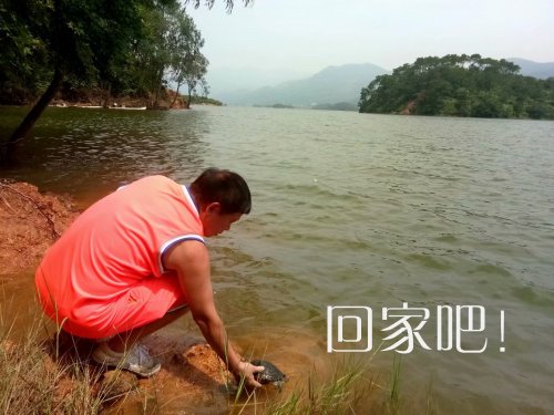 psb (37).jpg psb (37).jpg