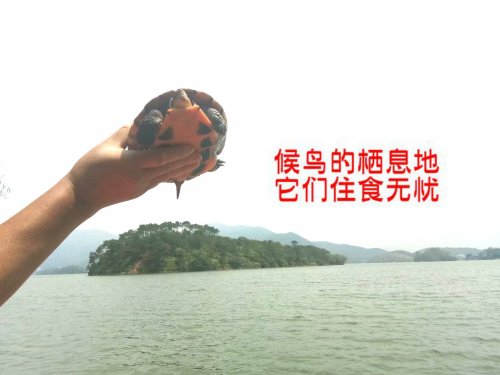 psb (43).jpg psb (43).jpg