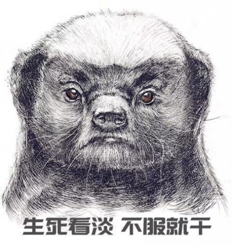 mmexport1560340384016.jpg mmexport1560340384016.jpg