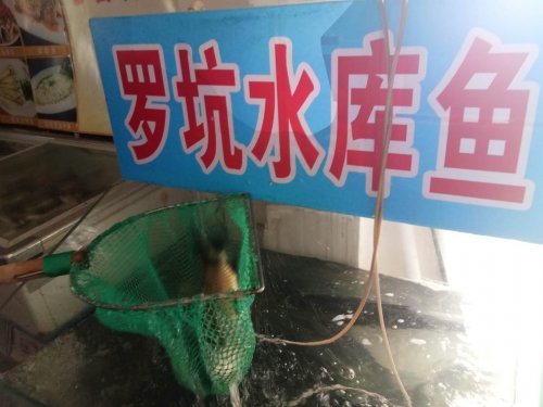 微信图片_20190906090527.jpg