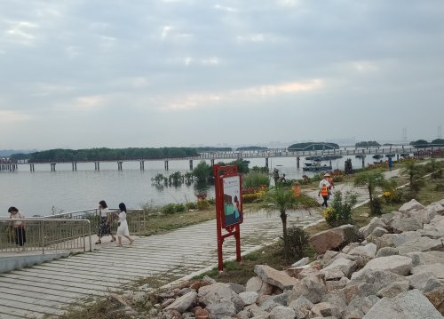 IMG_20190924_170658.jpg