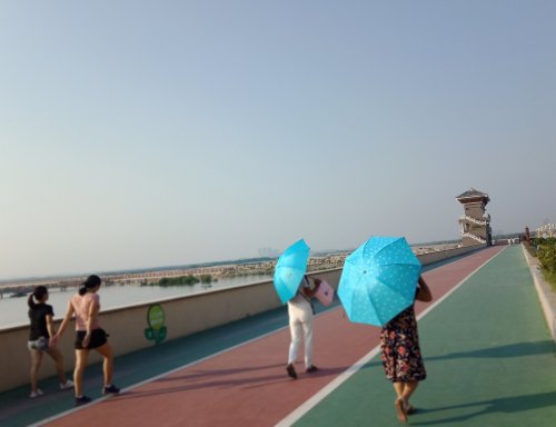 IMG_20190927_183454.jpg