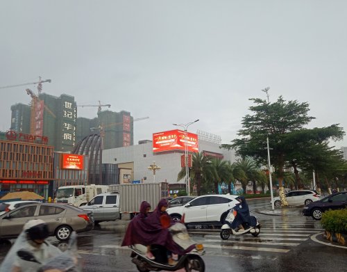 IMG_20191008_084944.jpg
