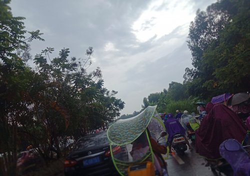 IMG_20191008_095821.jpg