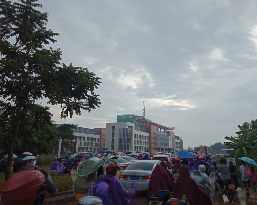 IMG_20191008_085805.jpg