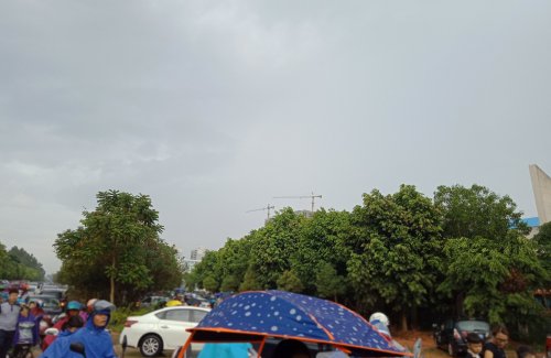 IMG_20191008_091540.jpg