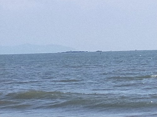 IMG20191010131326.jpg