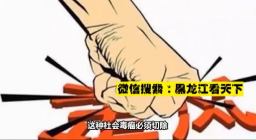 z5.PNG