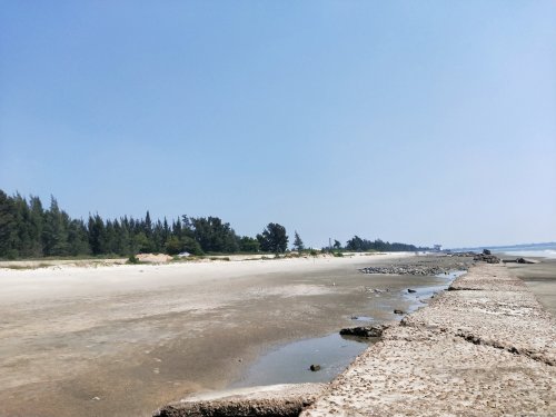 IMG20191019115037.jpg