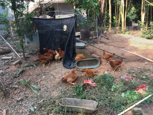 image.jpeg image.jpeg