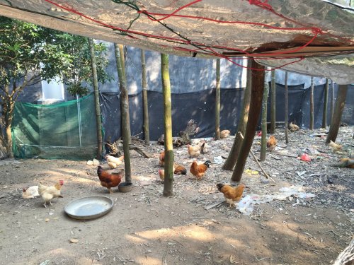 image.jpeg image.jpeg