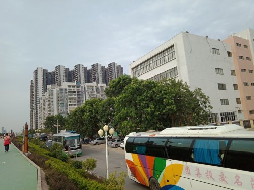 IMG20191101080626.jpg