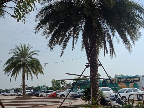IMG20191102094010.jpg