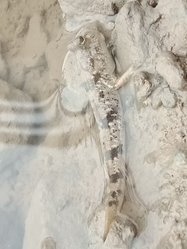 IMG20191028075101.jpg