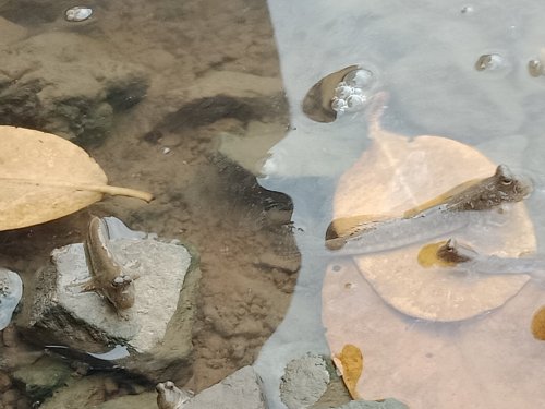 IMG20191028081001.jpg
