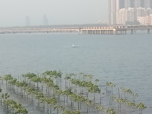 IMG20191107074914.jpg