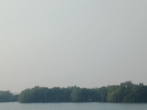 IMG20191107074932.jpg