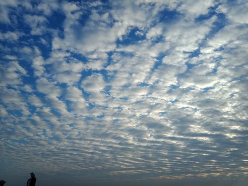 IMG_20191206_223210.jpg
