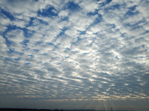 IMG_20191206_223022.jpg