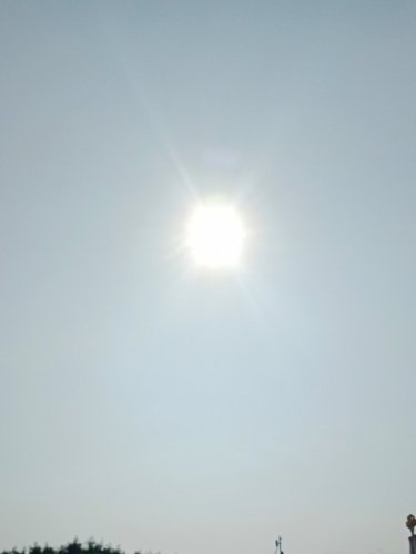 IMG_20200130_092834.jpg
