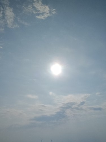 IMG_20200130_093500.jpg