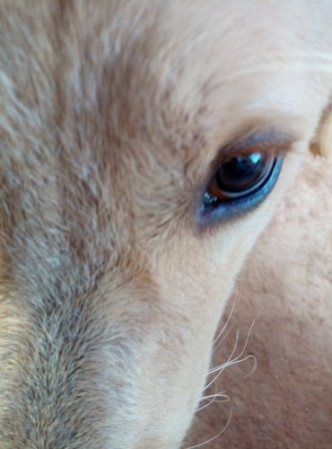 JPEG_20191010_074502_.jpg
