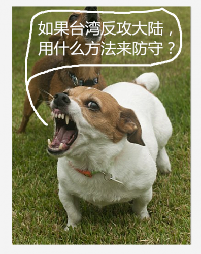 gv101.PNG