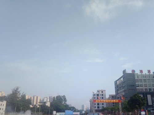 IMG_20200526_090319.jpg