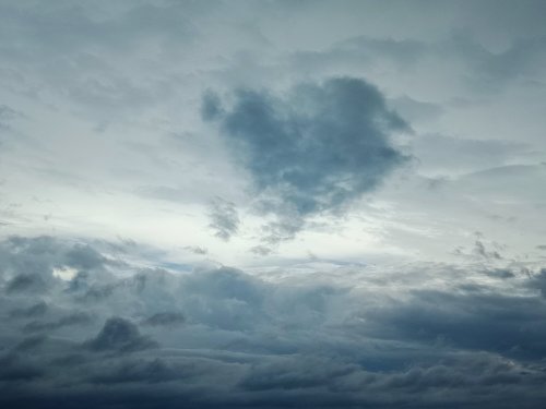 IMG_20200614_120056.jpg