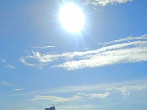 IMG_20200618_091249.jpg