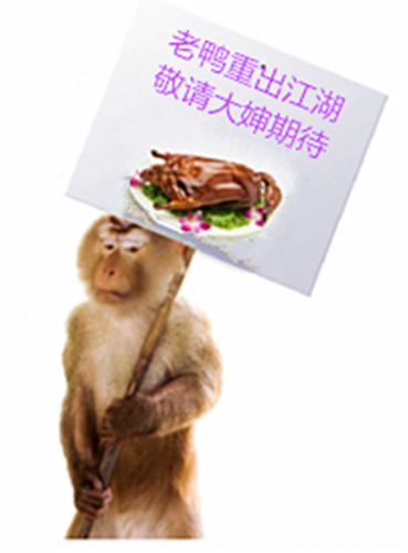 vv03.PNG