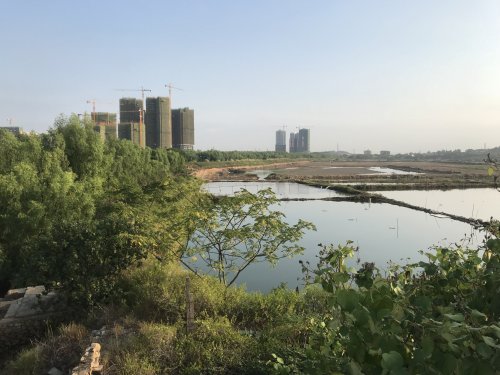 C1A2E324-1B5B-4A86-A502-218042762631.jpeg C1A2E324-1B5B-4A86-A502-218042762631.jpeg