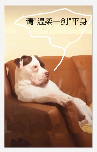 y41.PNG