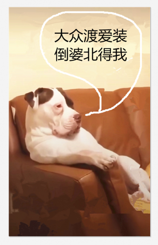 yb10.PNG