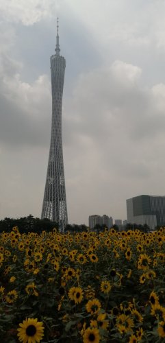 IMG_20200930_111048.jpg