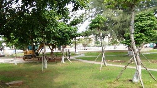 IMG_20201005_164918.jpg