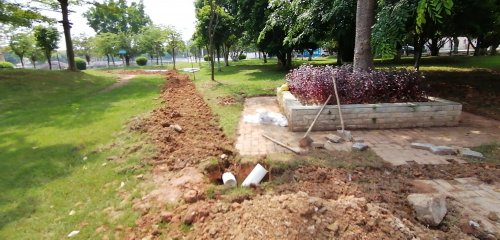 IMG_20201005_165009.jpg