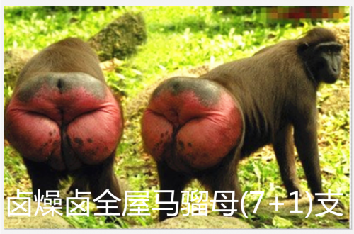 IMG_20201004_202833.png