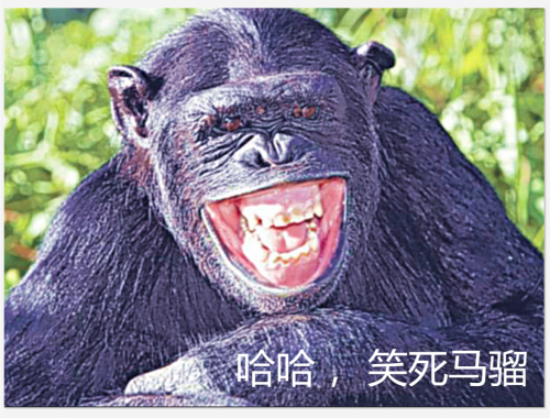 IMG_20201016_133915.png