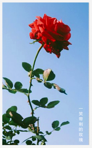 捕获(1)(1).PNG