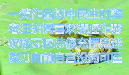 捕获1210.PNG