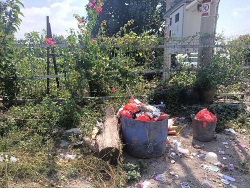 WechatIMG11.jpeg WechatIMG11.jpeg